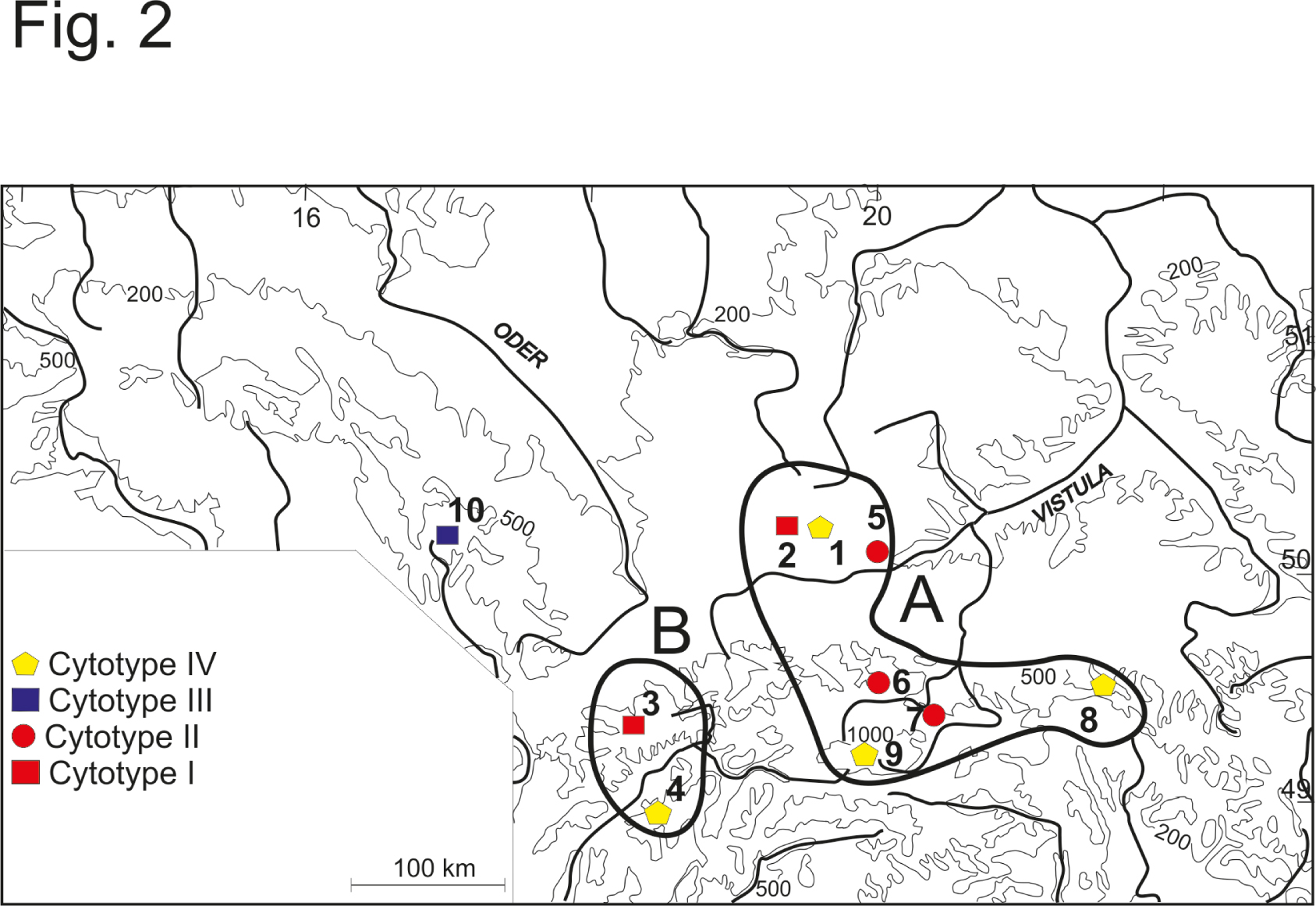Fig. 2. Distribution of the four C-Giemsa heterochromatine Cytotypes I-IV and the two groups (A and B) based on ISSR analysis and UPGMA classification of Aconitum variegatum sampled in the Western Carpathians, Sudetes Mts. and Polish Uplands (Ilnicki et al. 2011): 1 – Dąbrowa Górnicza, Silesian Upland; 2 – Bytom-Blachówka, Silesian Upland; 3 – Podolanky, Moravskoslezské Beskid Mts., W. Carpathians; 4 – Súlov, Stražovské vrchy Mts., W. Carpathians; 5 – Ojców, Małopolska Upland; 6 – Rzeki, Gorce Mts., W. Carpathians; 7 – Mt. Wysoka, Pieniny Mts., W. Carpathians; 8 – Mt. Kornuty, Beskid Niski Mts., W. Carpathians; 9 – Dolina Kościeliska Valley, Tatra Mts., W. Carpathians; 10 – Velký Kotel, Hruby Jeseník Mts., E. Sudetes.