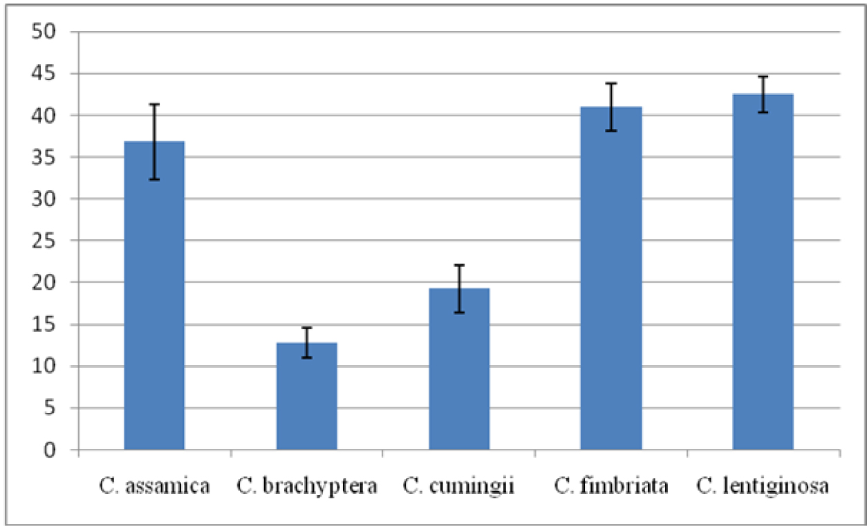 Fig. 2. Stomata density in studied Coelogyne species (number per mm2).