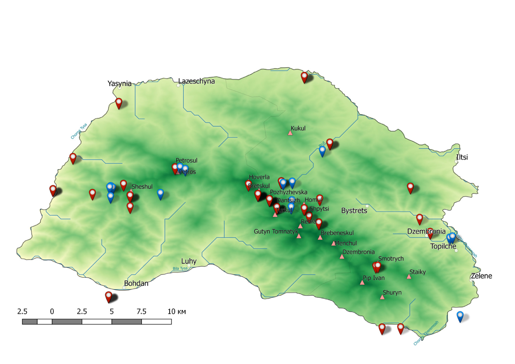 Fig. 13. Distribution of A. moldavicum in Chornohora Mts.