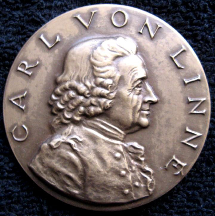 Fig. 4. Carl Linné. Medal (Sweden), obverse.
